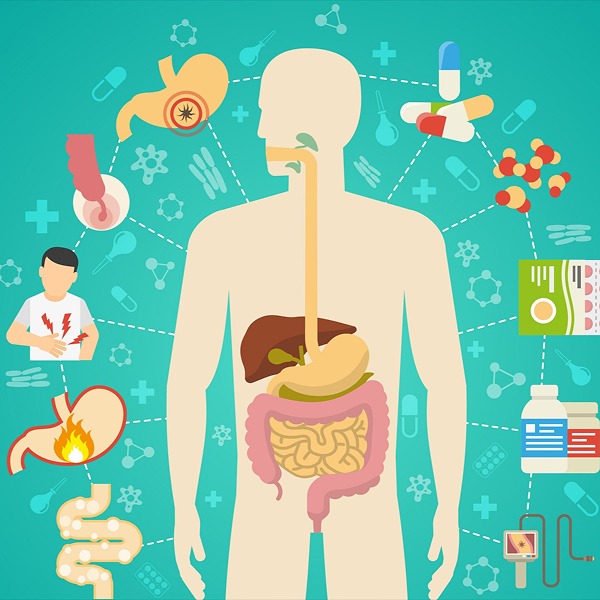 ویزیت گوارش و کبد